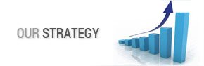 Our Strategy